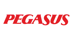 pegasuss logo pegasuss logo